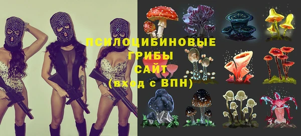 трава Арсеньев